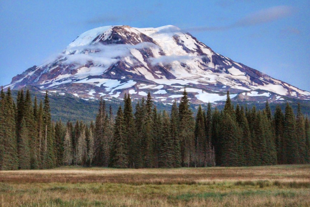 Mt._Adams_from_Foggy_Flat